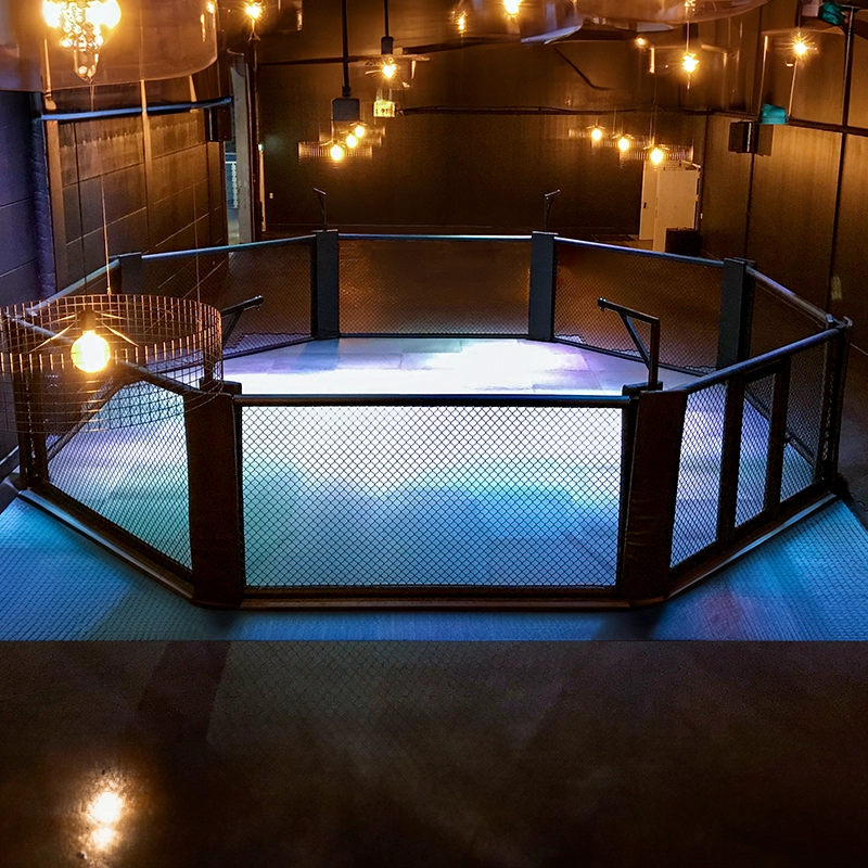 Deluxe boxing rings and MMA cages